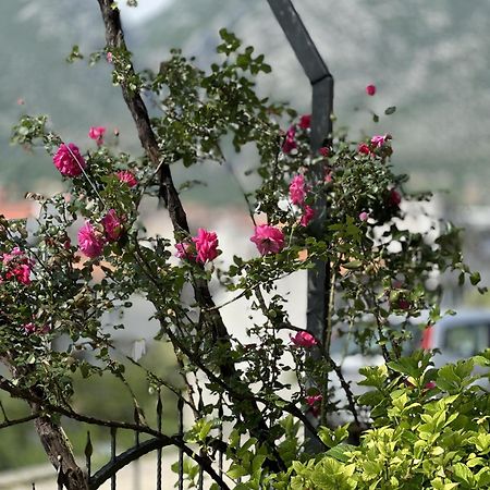 Ms Apartment Mostar Ngoại thất bức ảnh