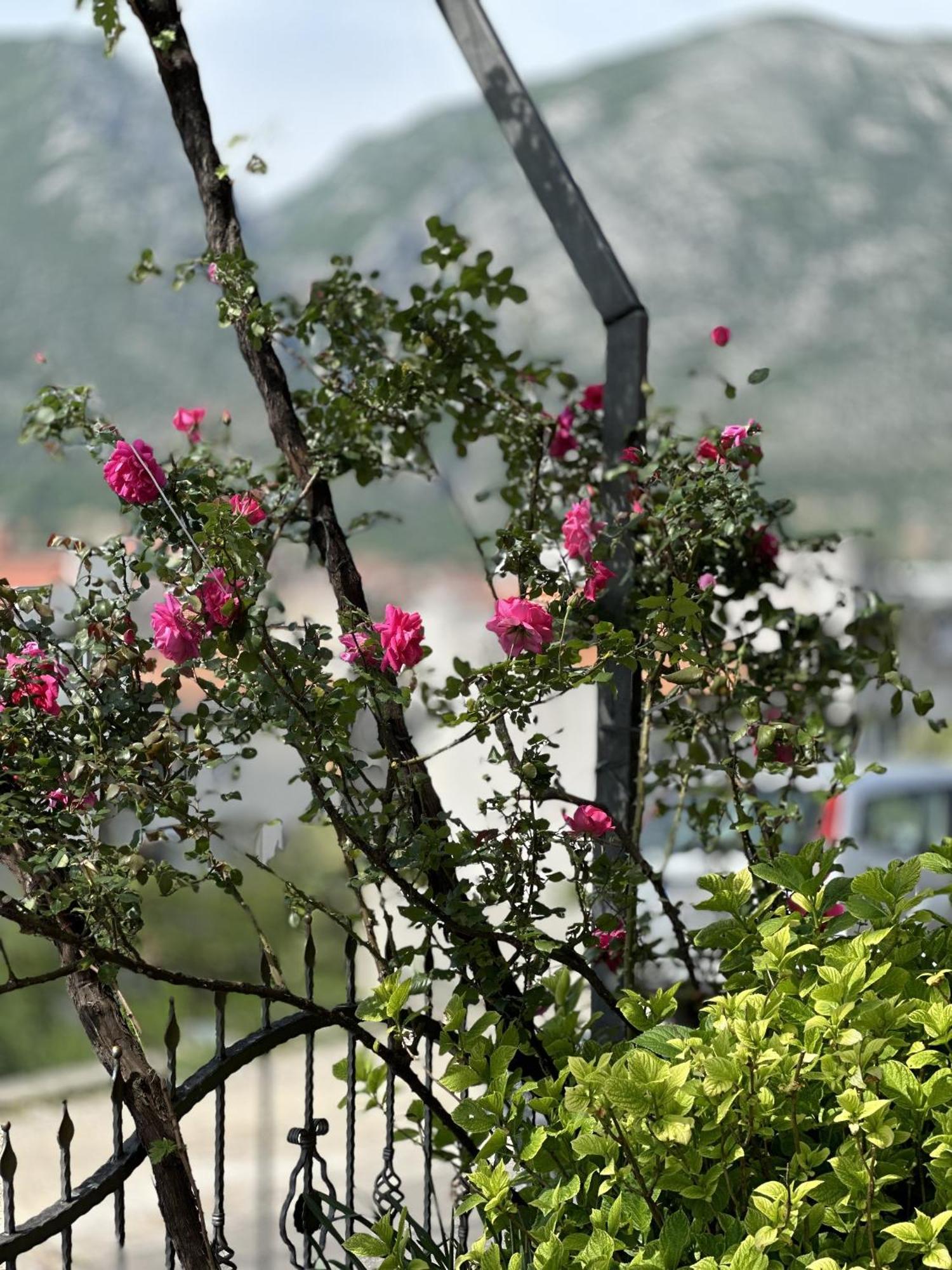 Ms Apartment Mostar Ngoại thất bức ảnh